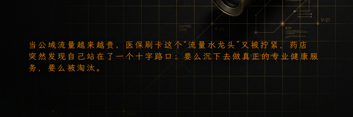 当公域流量越来越贵、医保刷卡这个“流量水龙头”又被拧紧,药店突然发现自己站在了一个十字路口:要么沉下去做真正的专业健康服务,要么被淘汰。