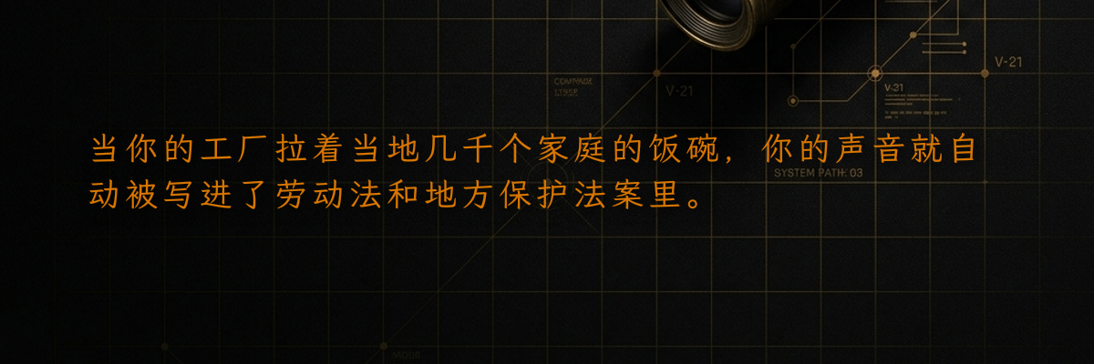 当你的工厂拉着当地几千个家庭的饭碗,你的声音就自动被写进了劳动法和地方保护法案里。