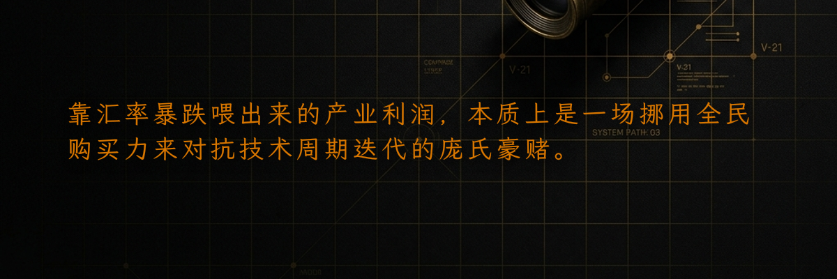 靠汇率暴跌喂出来的产业利润,本质上是一场挪用全民购买力来对抗技术周期迭代的庞氏豪赌。